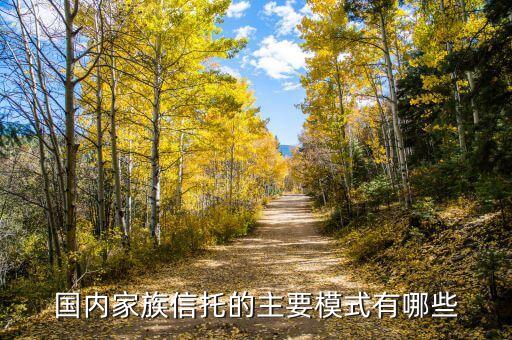 國內家族信托的主要模式有哪些
