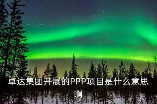 卓達(dá)集團開展的PPP項目是什么意思啊