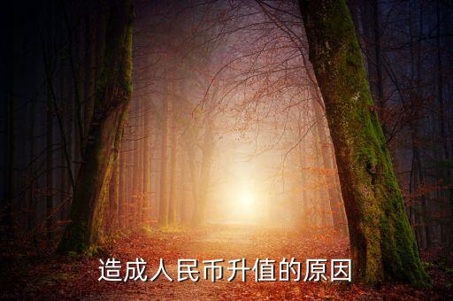 為什么貨幣升值，為什貨幣會(huì)升值