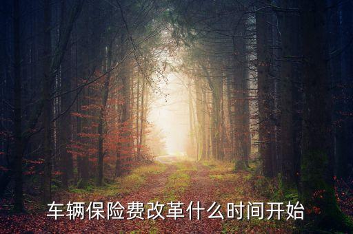 車輛保險(xiǎn)費(fèi)改革什么時(shí)間開(kāi)始