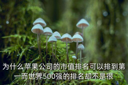 為什么蘋(píng)果公司的市值排名可以排到第一而世界500強(qiáng)的排名卻不是很