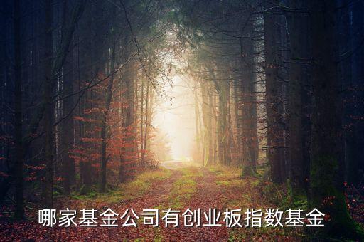 什么是中創(chuàng)400指數(shù)，基金里頭講到的 中創(chuàng)400 和 中小板300 有什么區(qū)別前者