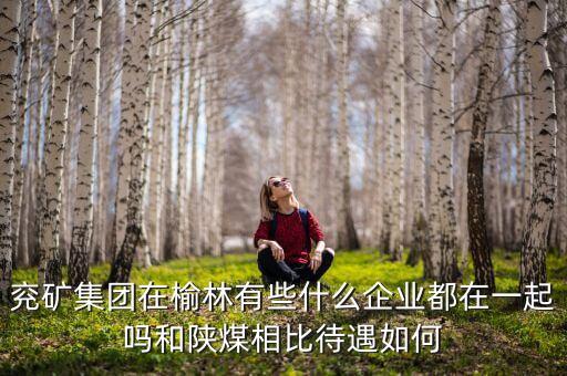 兗州煤業(yè)公司經(jīng)營什么，兗礦集團(tuán)在榆林有些什么企業(yè)都在一起嗎和陜煤相比待遇如何