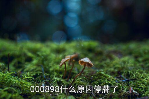 皇氏乳業(yè)為什么停牌，000009今天為何停牌
