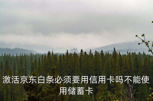 京東白條要什么銀行卡，京東打白條一定要信用卡嗎儲蓄卡不能用嗎