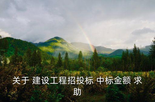 中標金額是什么，關(guān)于 建設工程招投標 中標金額 求助