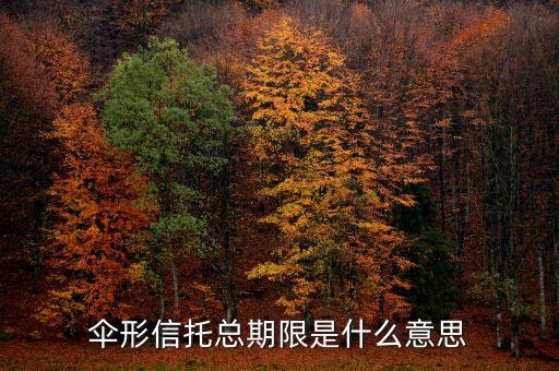 傘形信托的杠桿比例是什么意思，傘形信托總期限是什么意思