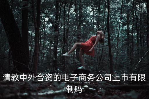 請教中外合資的電子商務公司上市有限制嗎