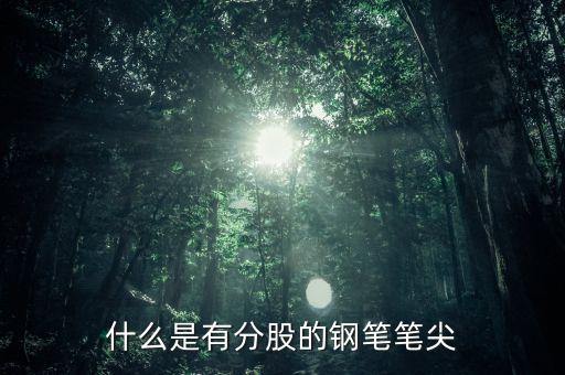 鋼筆頭分股是什么樣的，什么是有分股的鋼筆筆尖
