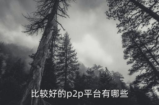 什么p2p平臺比較靠譜，請問國內(nèi)P2P平臺哪家比較安全可靠點想了解下