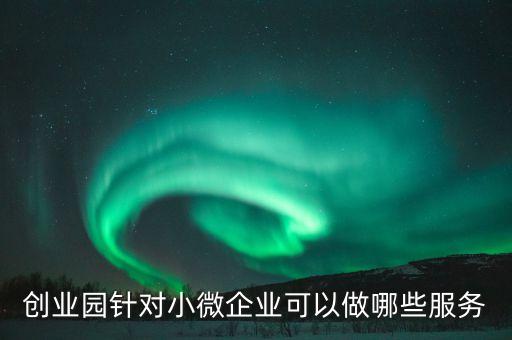 創(chuàng)業(yè)園針對小微企業(yè)可以做哪些服務