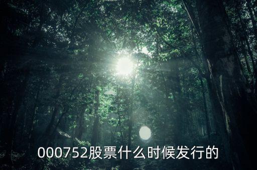 九泰銳富什么時候發(fā)行，000752股票什么時候發(fā)行的