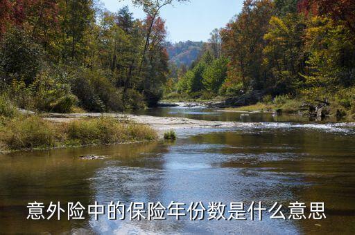 保險(xiǎn)數(shù)目指什么，意外險(xiǎn)中的保險(xiǎn)年份數(shù)是什么意思