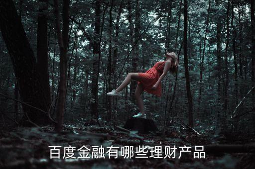百度有什么理財(cái)產(chǎn)品，百度金融有哪些理財(cái)產(chǎn)品