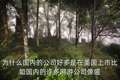 為什么國內的公司好多是在美國上市比如國內的許多網(wǎng)游公司像盛