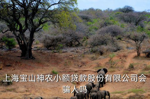 上海神農(nóng)小額貸款公司經(jīng)理叫什么，上海寶山神農(nóng)小額貸款股份有限公司會(huì)騙人嗎