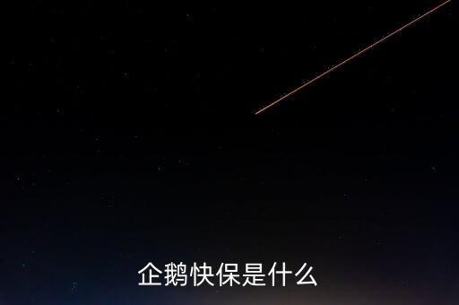 快保保險(xiǎn)是什么公司，企鵝快保是什么
