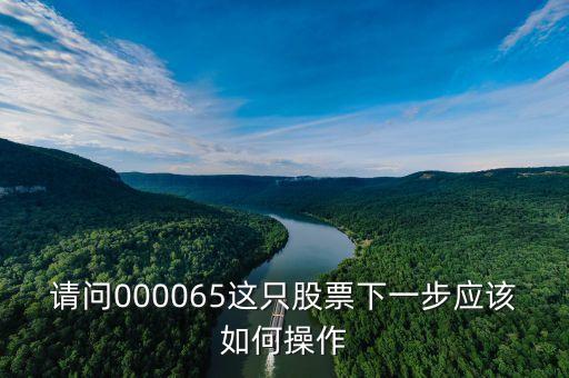 000065是什么重大事件，請(qǐng)問000065這只股票下一步應(yīng)該如何操作