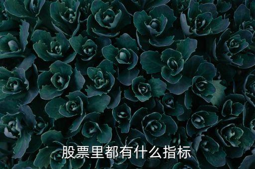股票的各種指標(biāo)都是代表什么，股票指標(biāo)代表什么意思