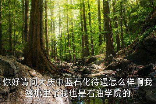 中藍(lán)石化總公司是什么公司，中藍(lán)集團(tuán)是那一年成立的