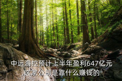  中遠(yuǎn)?？仡A(yù)計(jì)上半年盈利647億元,這家公司是靠什么賺錢的
