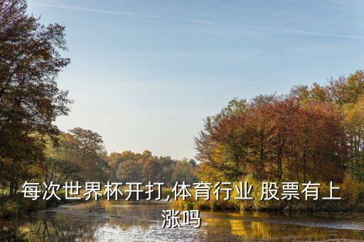 每次世界杯開(kāi)打,體育行業(yè) 股票有上漲嗎