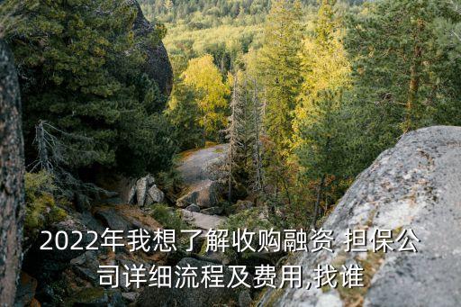 2022年我想了解收購融資 擔保公司詳細流程及費用,找誰