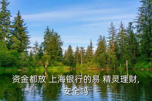 寶山區(qū)上海銀行易精靈業(yè)務,上海銀行易精靈1號和2號哪個好