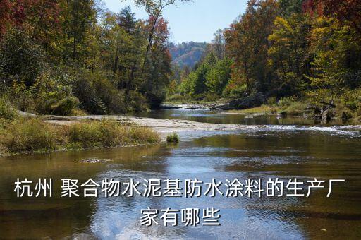 杭州 聚合物水泥基防水涂料的生產(chǎn)廠(chǎng)家有哪些