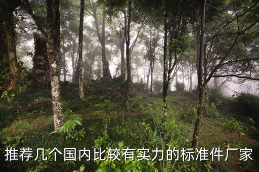 推薦幾個國內(nèi)比較有實力的標(biāo)準(zhǔn)件廠家