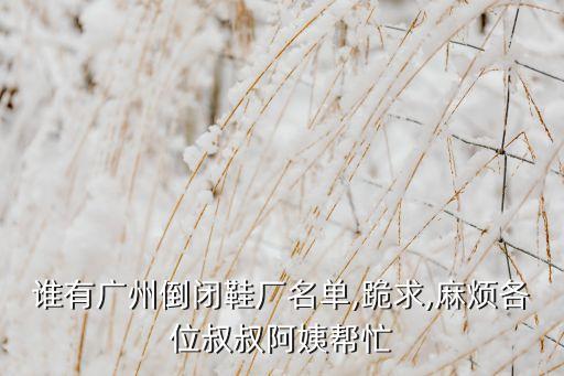 誰(shuí)有廣州倒閉鞋廠(chǎng)名單,跪求,麻煩各位叔叔阿姨幫忙