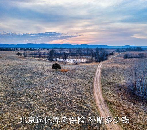 北京社會保險(xiǎn)補(bǔ)貼,北京靈活就業(yè)人員社會保險(xiǎn)補(bǔ)貼