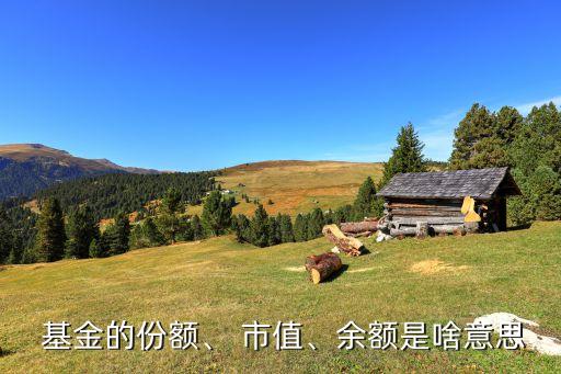  基金的份額、 市值、余額是啥意思