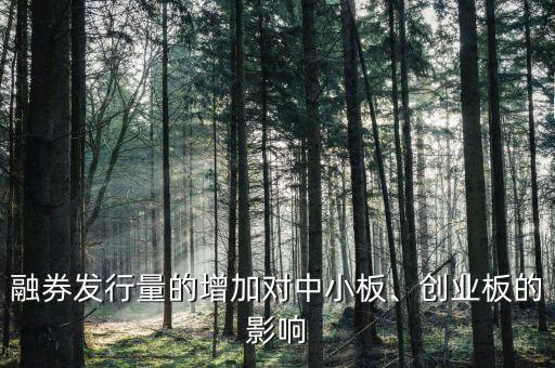融券發(fā)行量的增加對中小板、創(chuàng)業(yè)板的影響