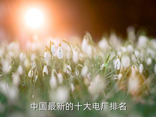 ?；涬娏ν顿Y
