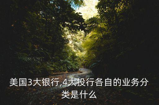 美國(guó)3大銀行,4大投行各自的業(yè)務(wù)分類(lèi)是什么