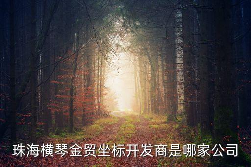 珠海橫琴金貿(mào)坐標(biāo)開發(fā)商是哪家公司