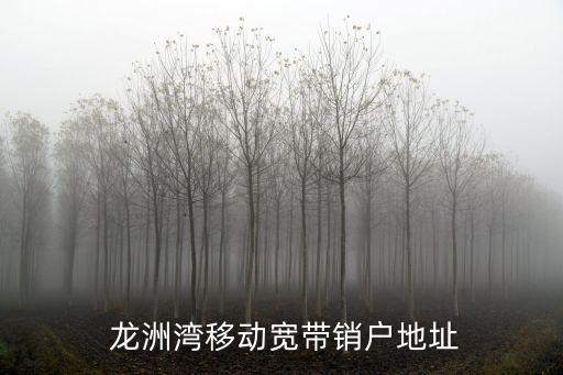  龍洲灣移動(dòng)寬帶銷(xiāo)戶地址