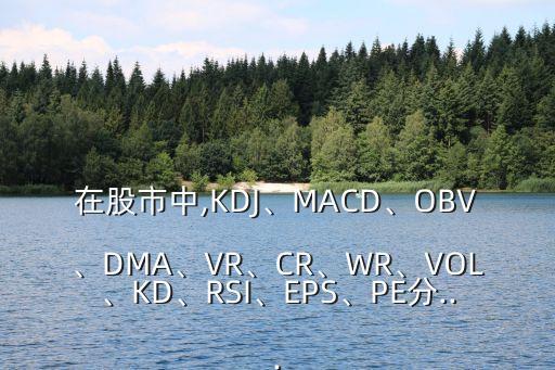 在股市中,KDJ、MACD、OBV、DMA、VR、CR、WR、VOL、KD、RSI、EPS、PE分...