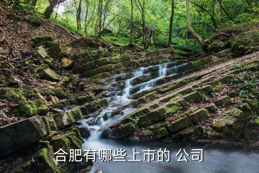 安徽省國資金融投資公司,成都成華區(qū)國資經(jīng)營(yíng)投資公司