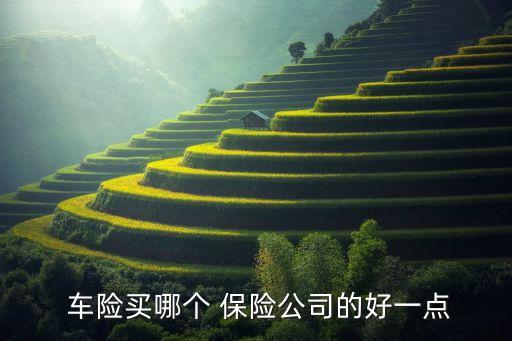  車險買哪個 保險公司的好一點(diǎn)