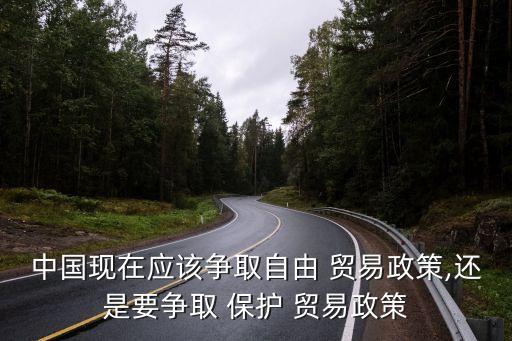 中國的貿易保護