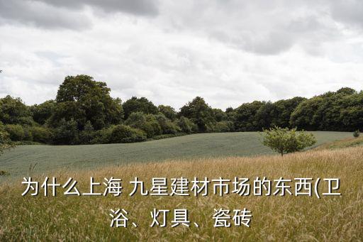為什么上海 九星建材市場(chǎng)的東西(衛(wèi)浴、燈具、瓷磚