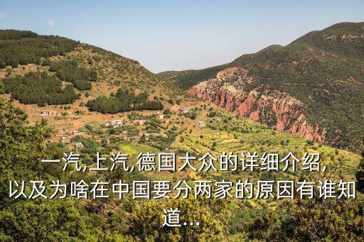  一汽,上汽,德國(guó)大眾的詳細(xì)介紹,以及為啥在中國(guó)要分兩家的原因有誰知道...