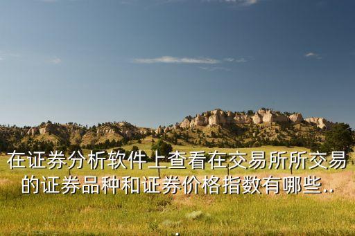 在證券分析軟件上查看在交易所所交易的證券品種和證券價格指數有哪些...