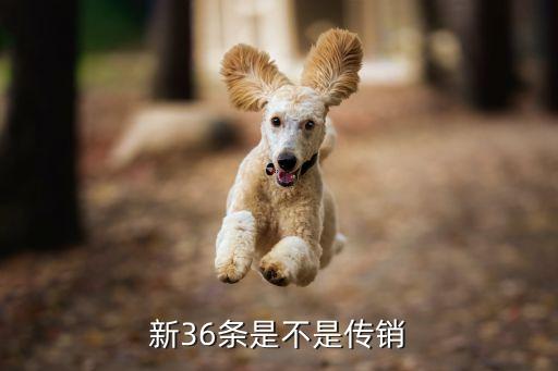 鼓勵民間投資新36條,清政府鼓勵民間投資設(shè)廠