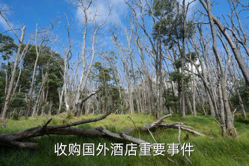 中國(guó)收購(gòu)國(guó)外酒店重要事件