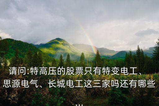 請(qǐng)問(wèn):特高壓的股票只有特變電工、 思源電氣、長(zhǎng)城電工這三家嗎還有哪些...