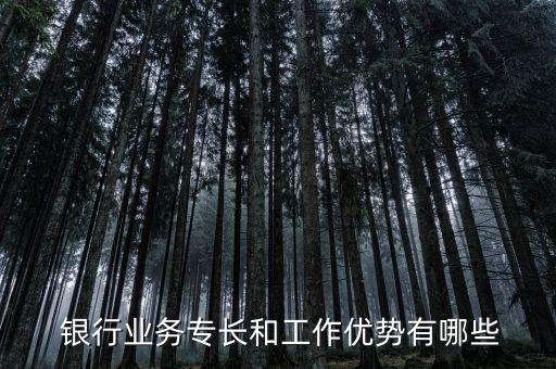  銀行業(yè)務(wù)專長(zhǎng)和工作優(yōu)勢(shì)有哪些