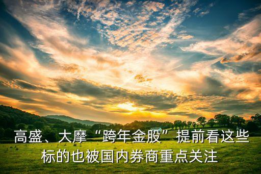  高盛、大摩“跨年金股”提前看這些標(biāo)的也被國(guó)內(nèi)券商重點(diǎn)關(guān)注